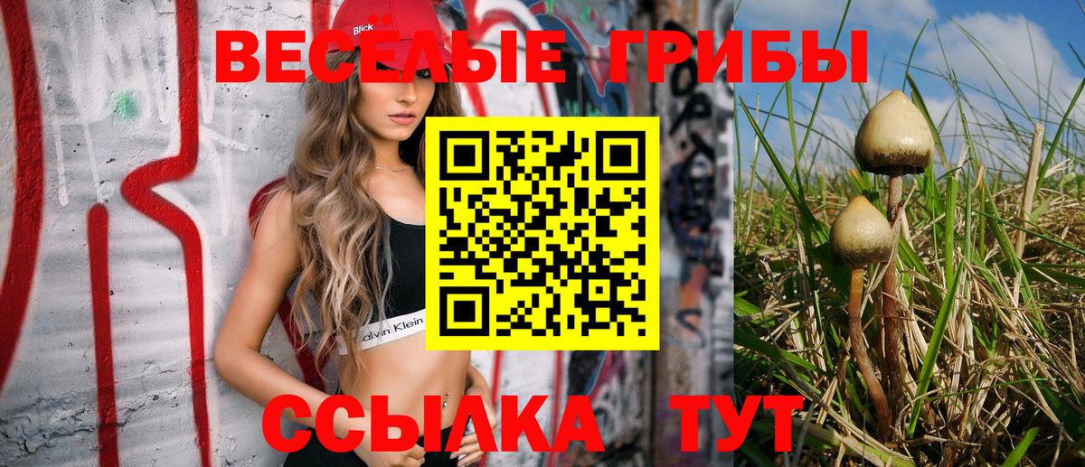 Псилоцибиновые грибы Cubensis  Вход с VPN  Красногорск 